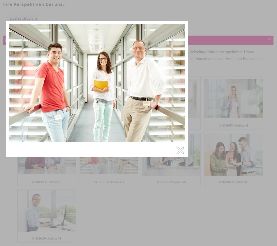 Ausstellerbeispiel Webcode-Seite mit Beschreibungstext, Darstellung Bildergalerie